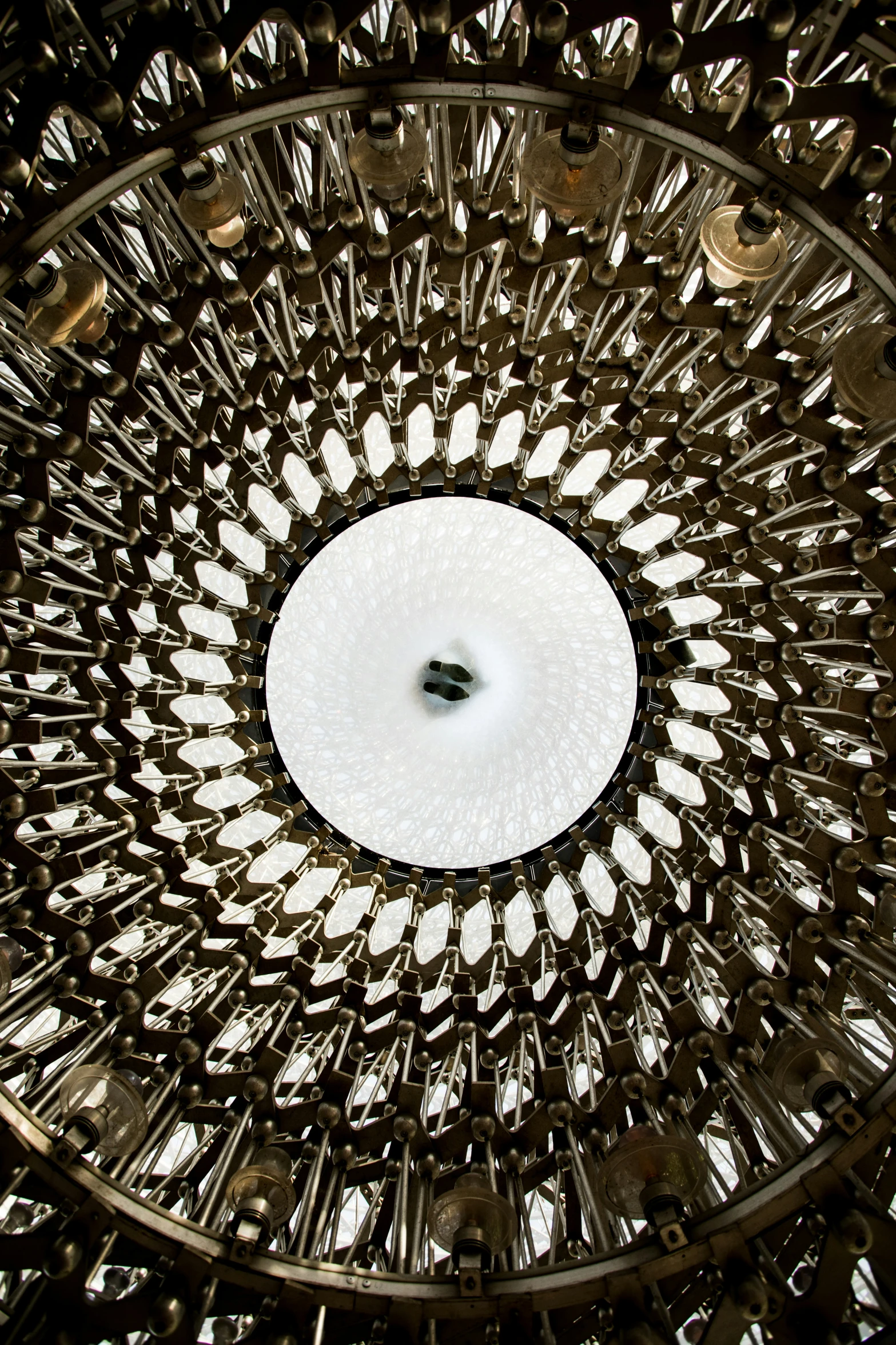 the circular glass chandelier is decorated with small white flowers