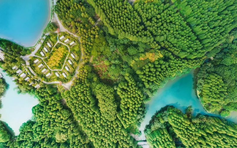 a bird's eye view of a green forest next to a lake