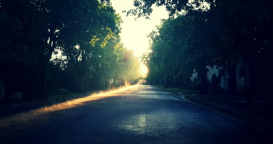 the sun is shining brightly through trees in an otherwise empty area