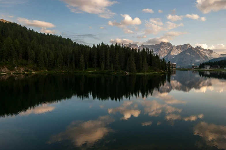 a large body of water surrounded by lush green forest