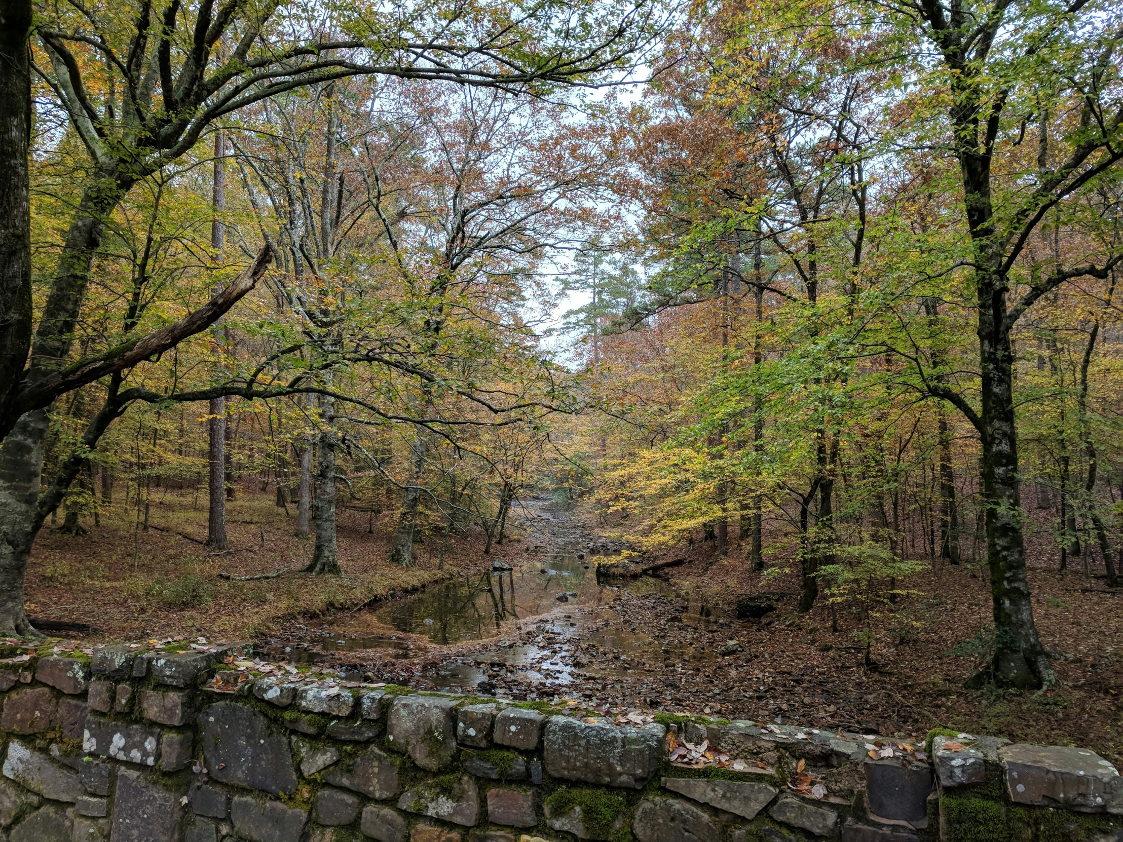 trees are in the background near a stone wall