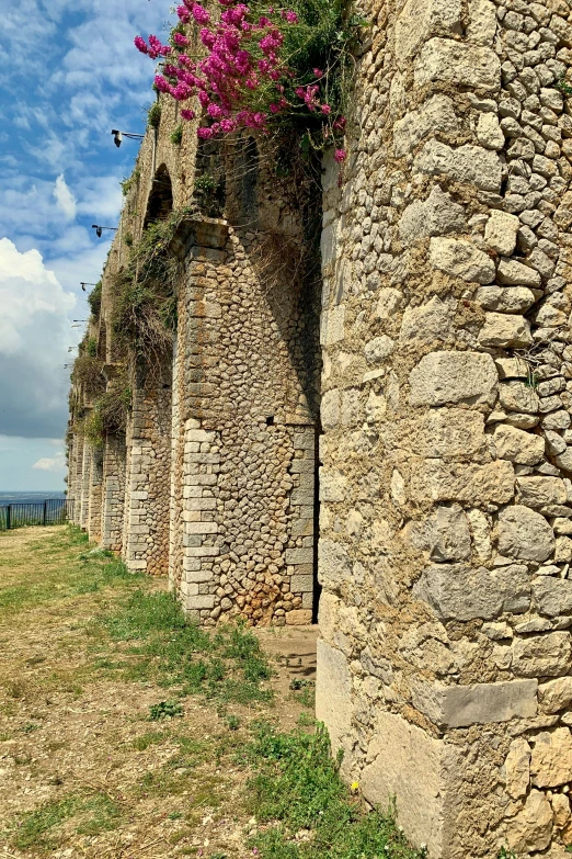 a stone wall and flowers are on it