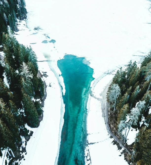 there are green river and trees that look like they have soing going in it