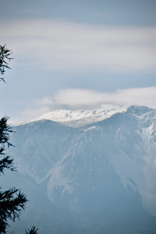 mountain and snow - covered peaks with evergreen trees and blue sky