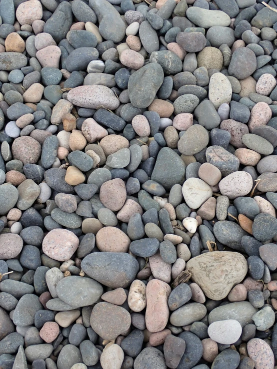 some rocks on the ground and one has an animal on it