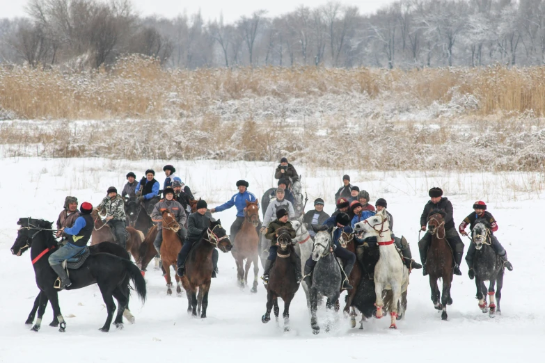 large group of people riding on the backs of horses