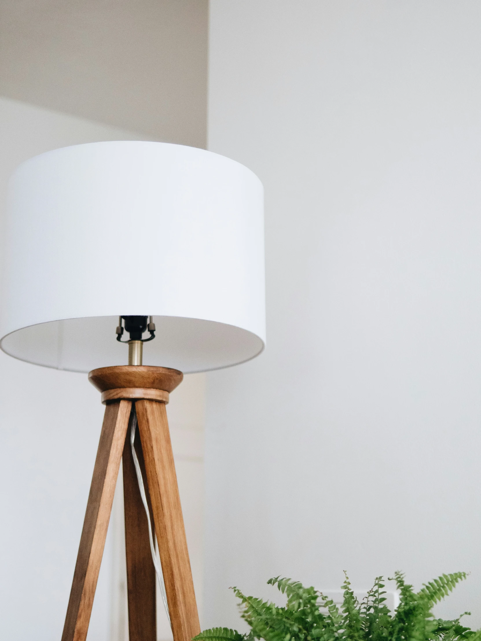 an indoor lamp on the table with a potted plant