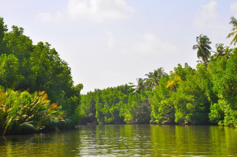 a lake in a forest with trees reflected on the water