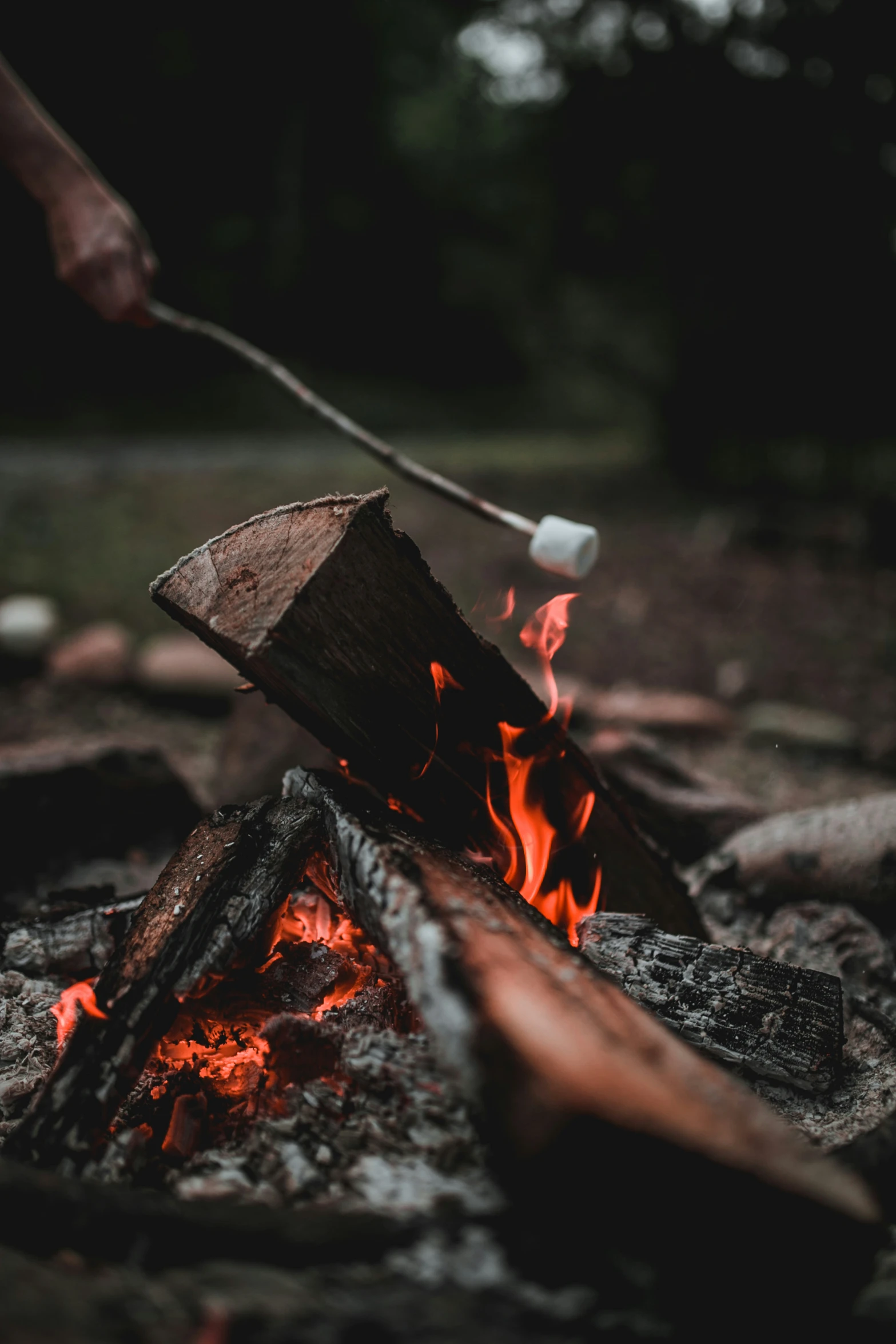 an outdoor campfire is burning in the middle of the woods