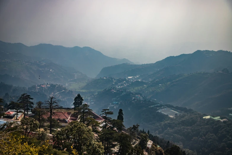 a hillside with lots of trees and mountains in the background