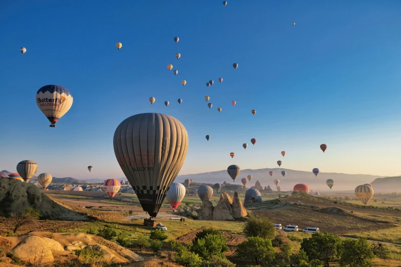 a large number of balloons fly in the sky above