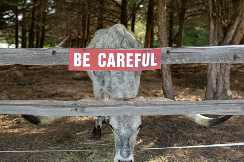 a sign on the fence shows that cattle are be careful