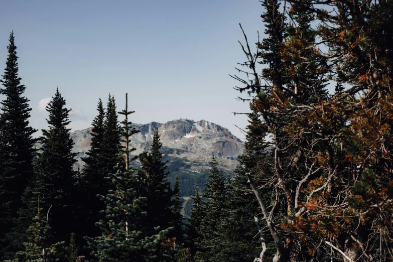 trees, rocks and mountains stand near each other