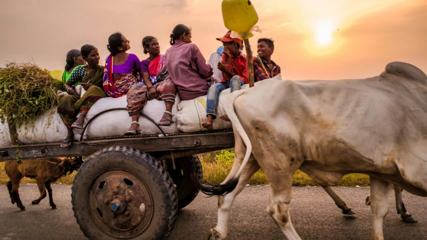 a group of people ride on the back of a horse and carriage