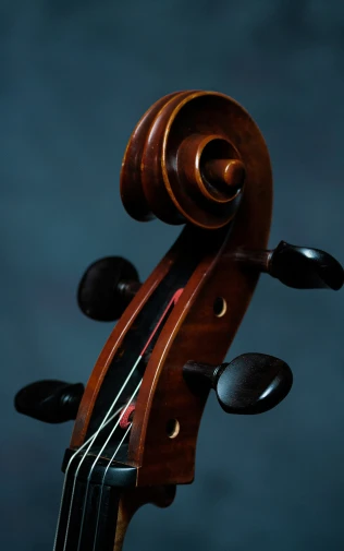 the head and bow of an old violin