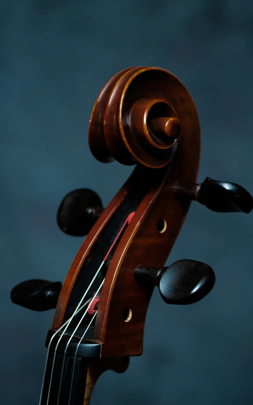 the head and bow of an old violin