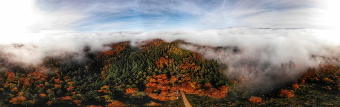 a bird's eye view of trees in the fall