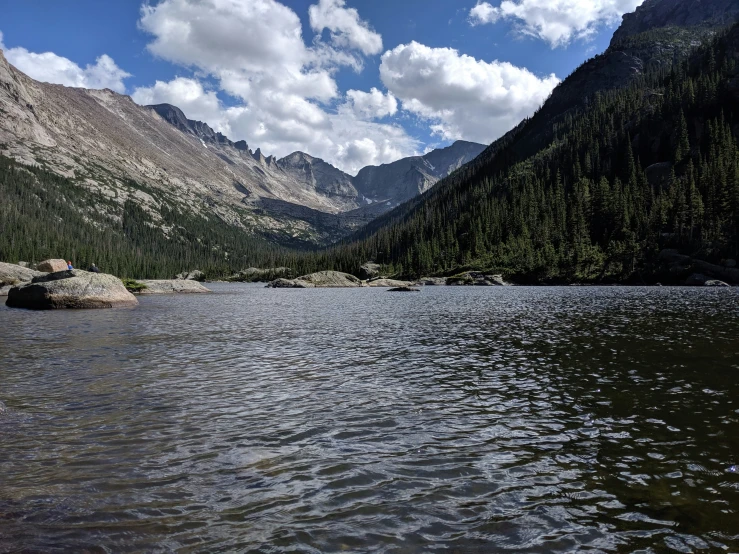 water in a valley with rocks and pine trees