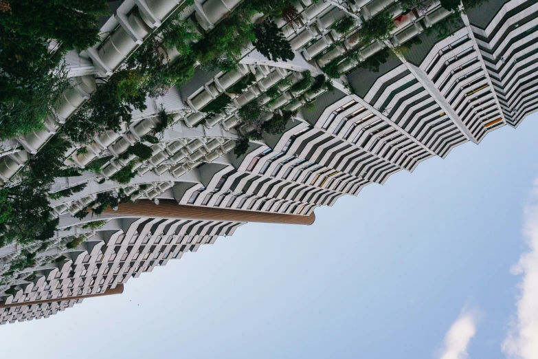 the ceiling of a building with plants growing up