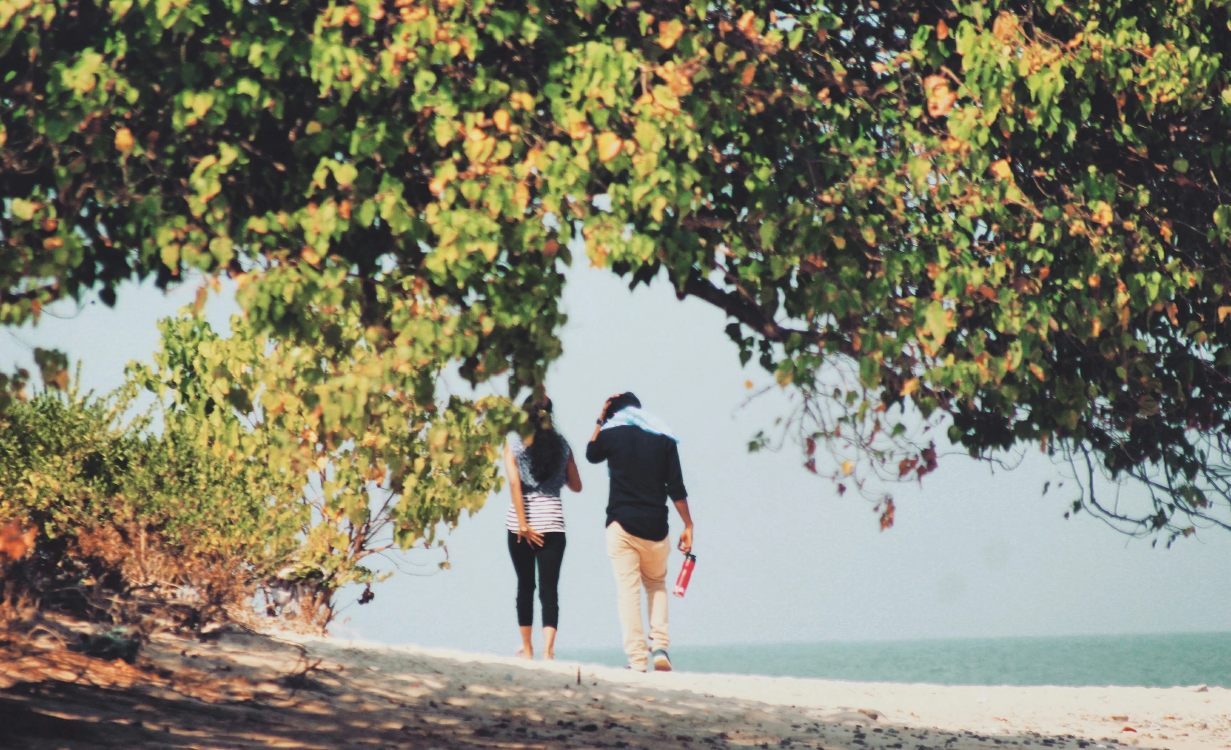 two people holding hands walk along a path along the beach