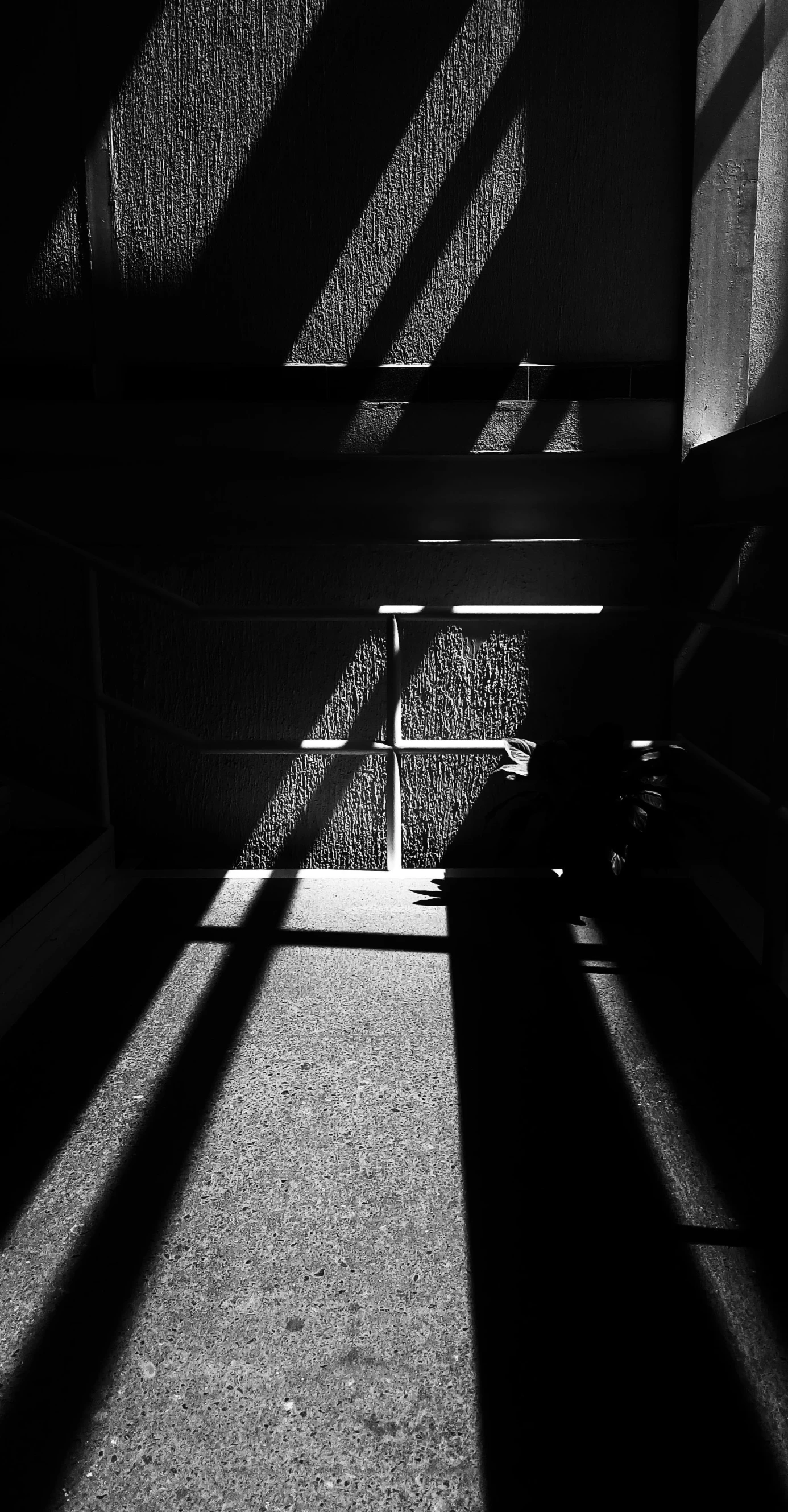 long shadows cast on a staircase above some stairs