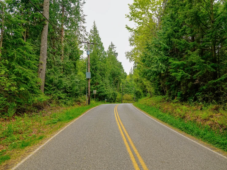 the street is empty in the woods by itself