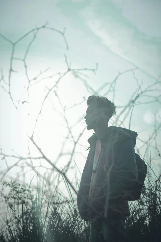 silhouette of man wearing coat and tie standing by bare tree nches