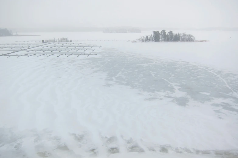 this is an area full of snow and trees in the background