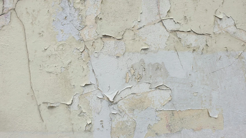 a bird is perched on top of a peeling wall