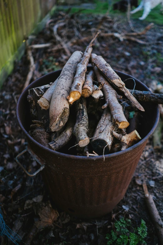 firewood is stacked in a brown bucket outside