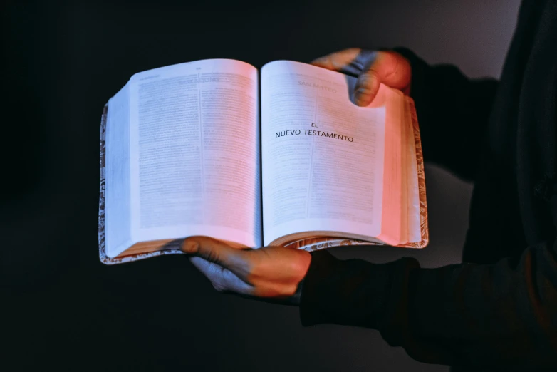 an open book held up by someone's hands