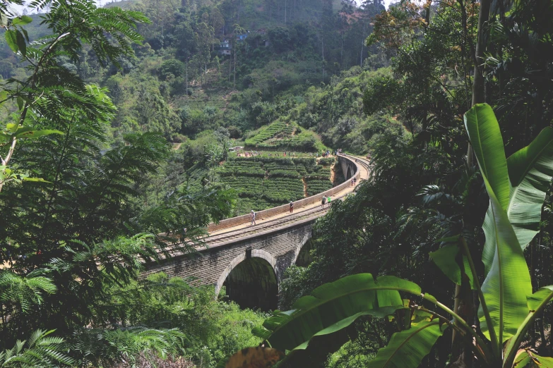 an old bridge over a railway in the jungle