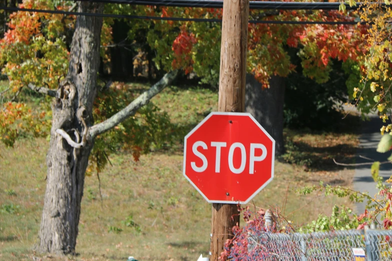 a stop sign is posted near a fence