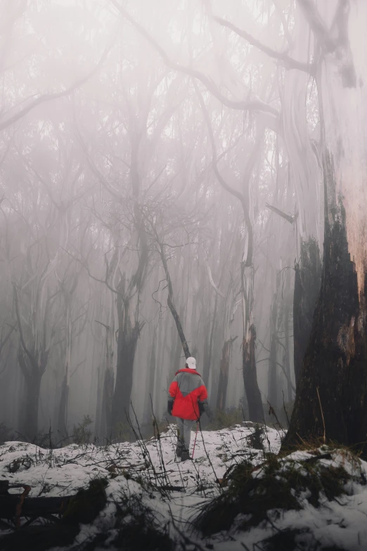an image of man in the woods in red and white