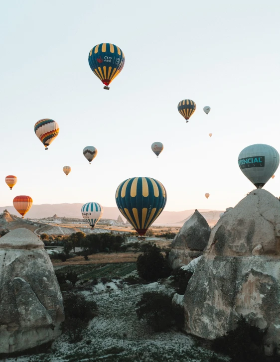 many balloons are flying in the sky