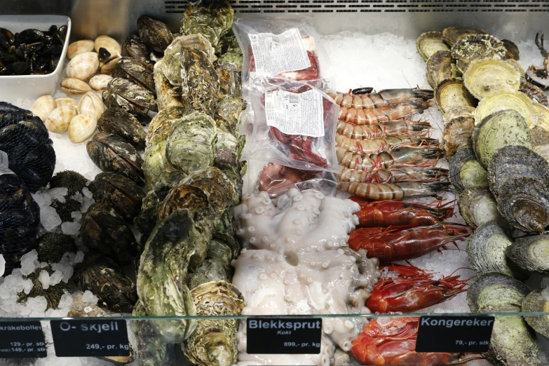 various seafood items displayed in case at outdoor market