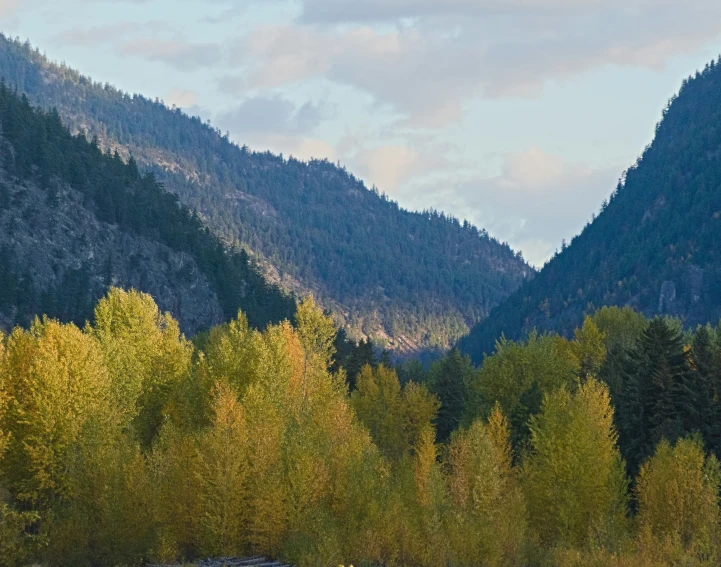 there is some grass in the middle of a mountain valley