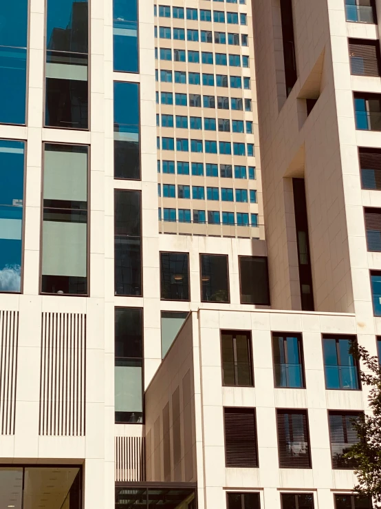 some windows in front of a building with some trees