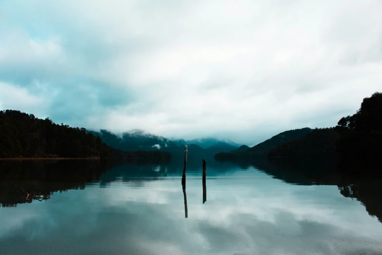 two poles sticking out in the water on the edge of a hill