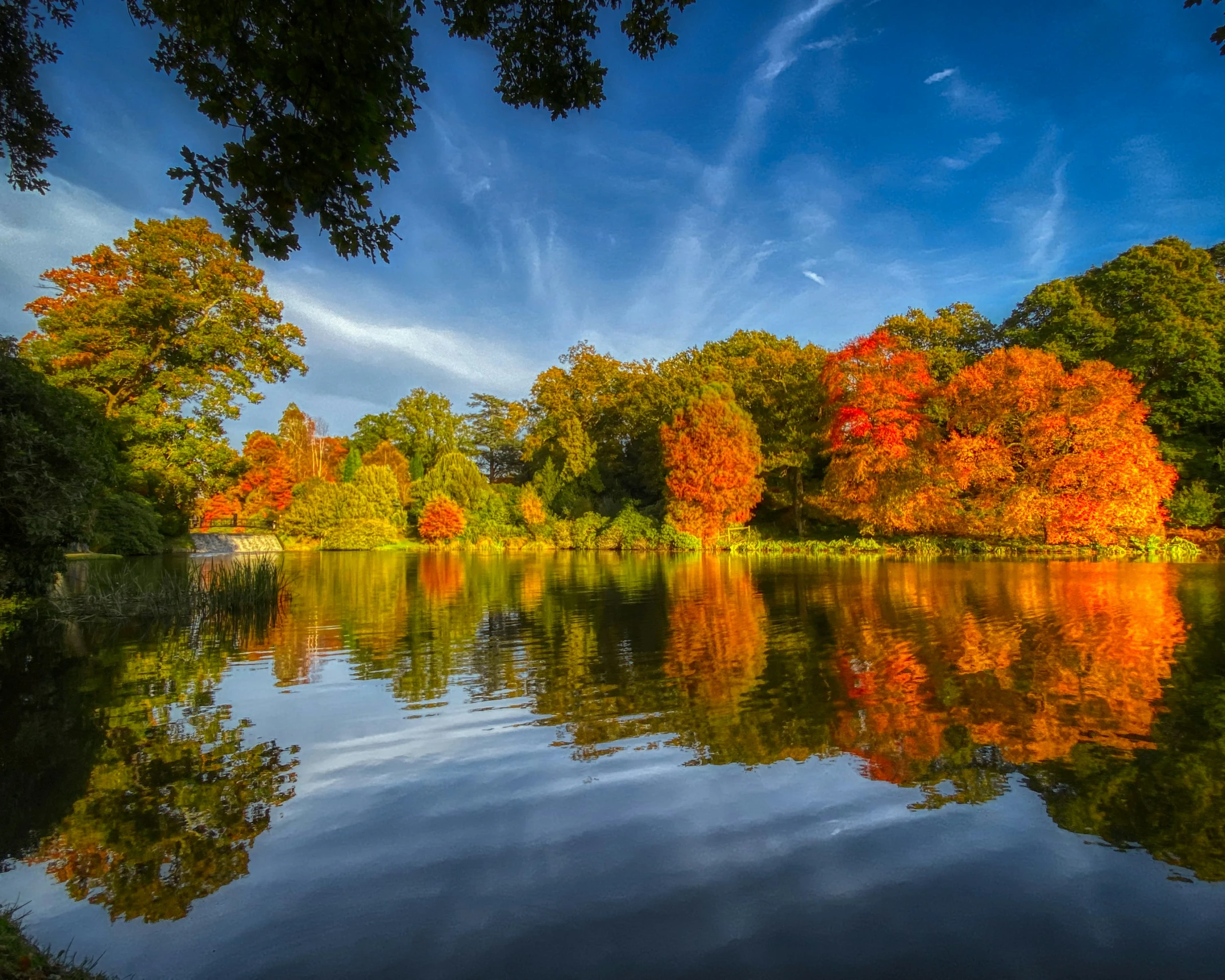 a picture of the trees in autumn are reflecting in the water