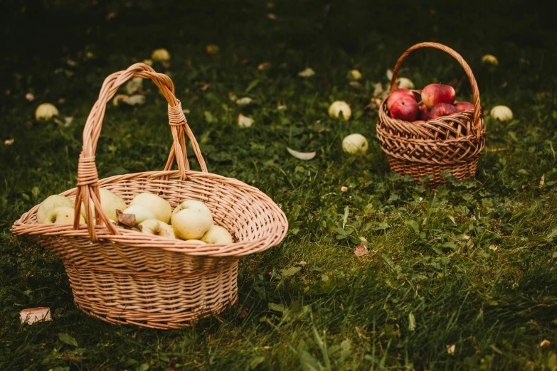 a basket of apples sitting on top of grass next to a basket