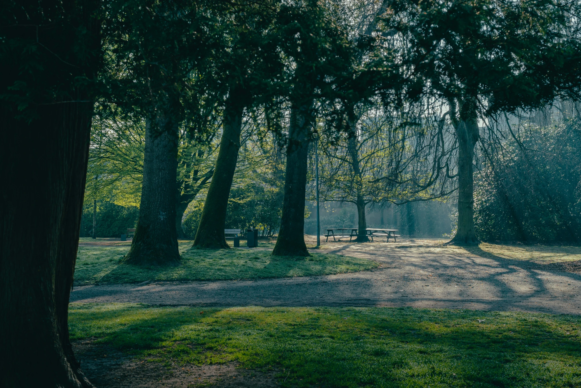 a sunlit park area with a bench and trees