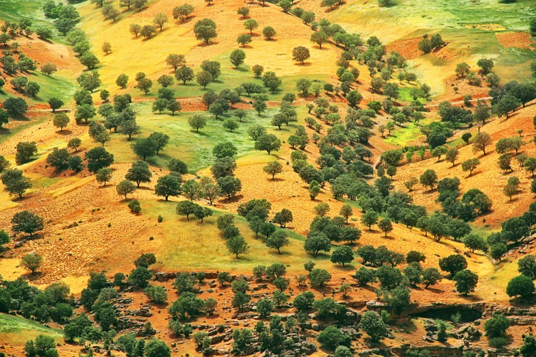 a scenic view of a forested valley area