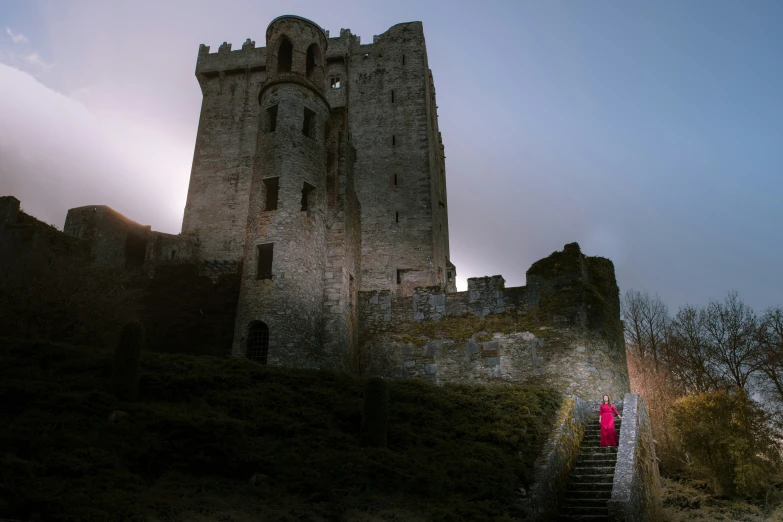 the woman walks up the stairs to the castle