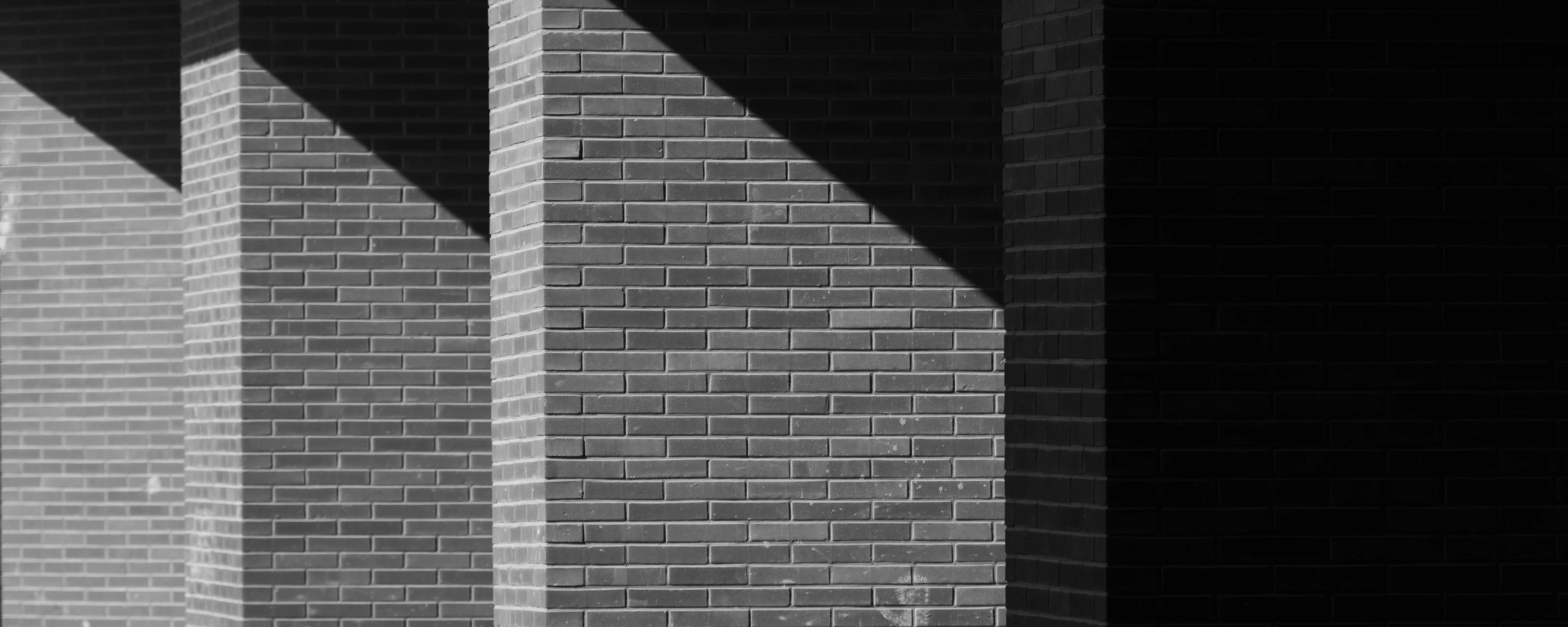 black and white image of two stone pillars with a cat