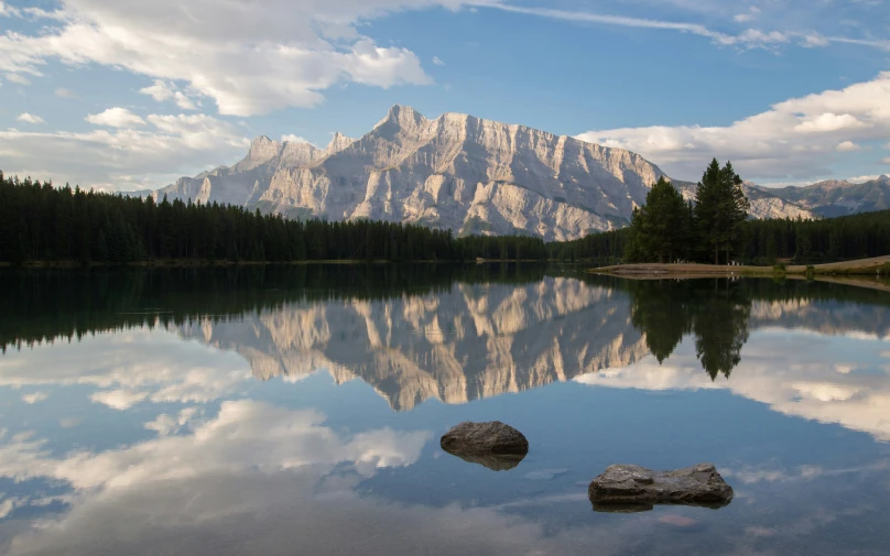 mountains with trees reflected in a body of water