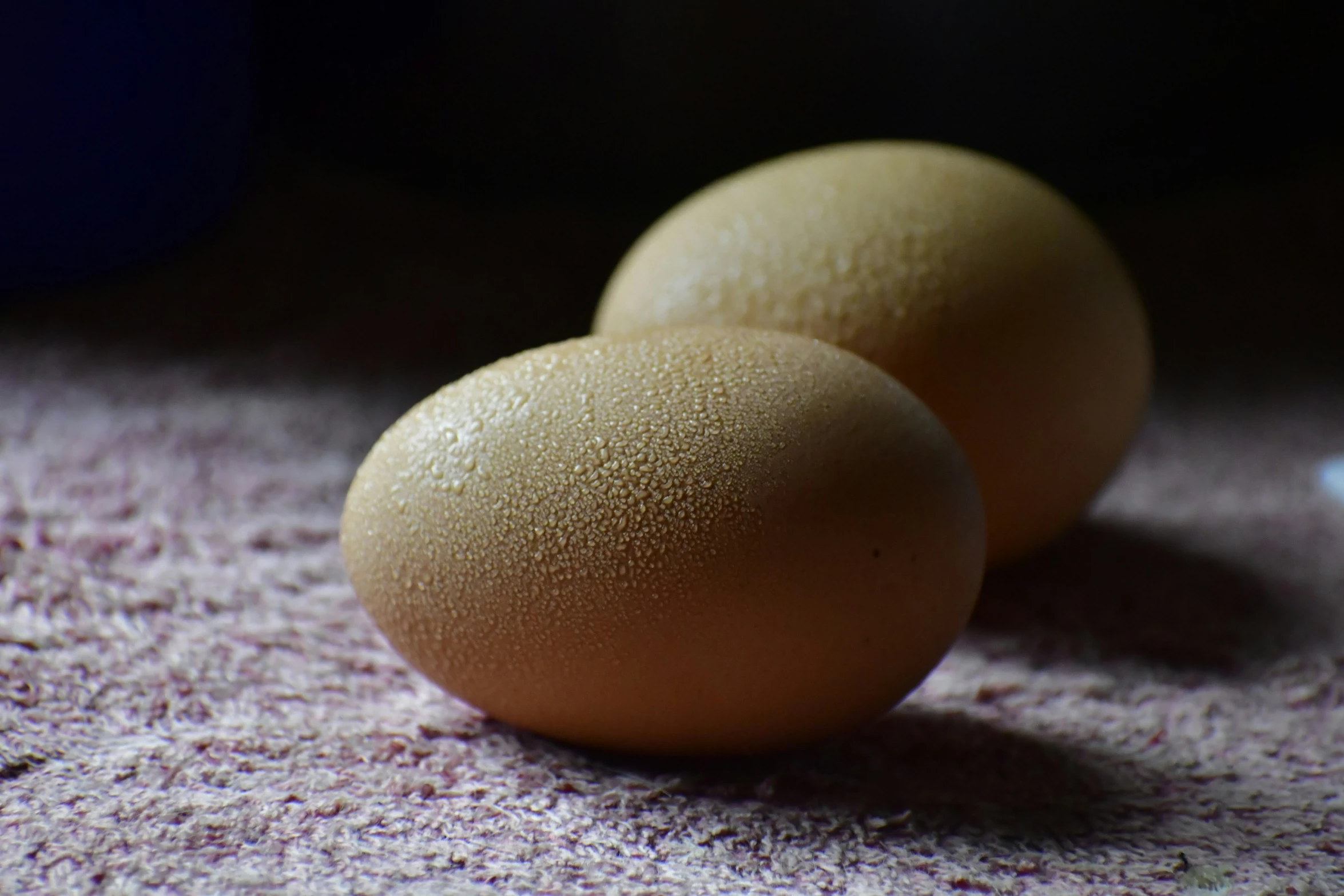 two eggs on a table in the sunlight