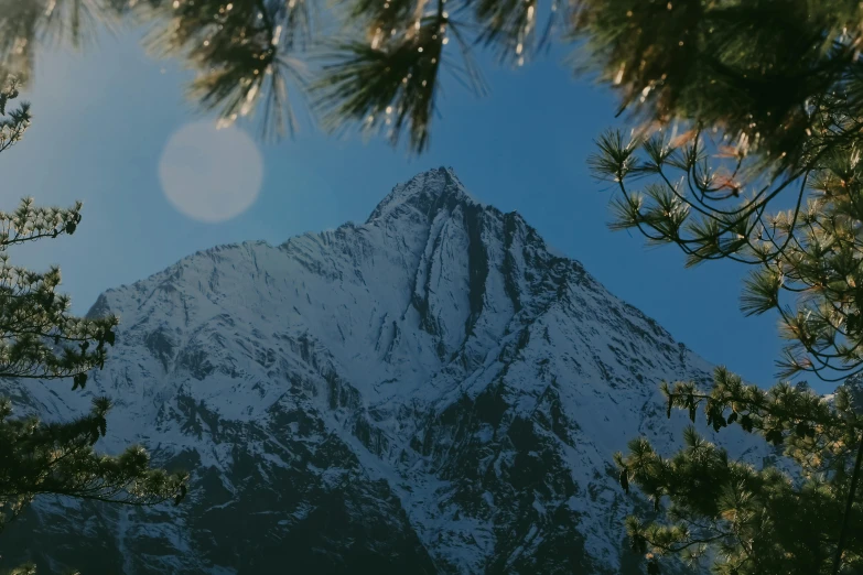 a tree view of a large mountain in a forested area