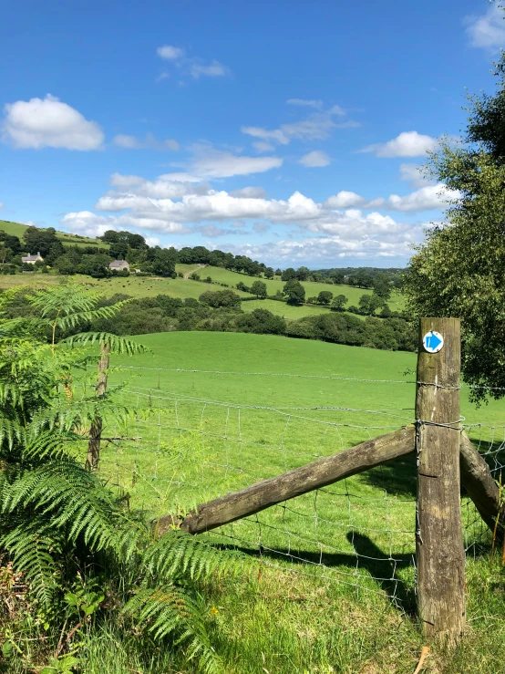 an open grassy field with a wooden fence