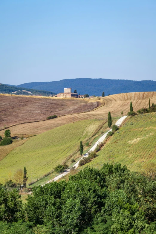 a countryside with trees and a dirt road